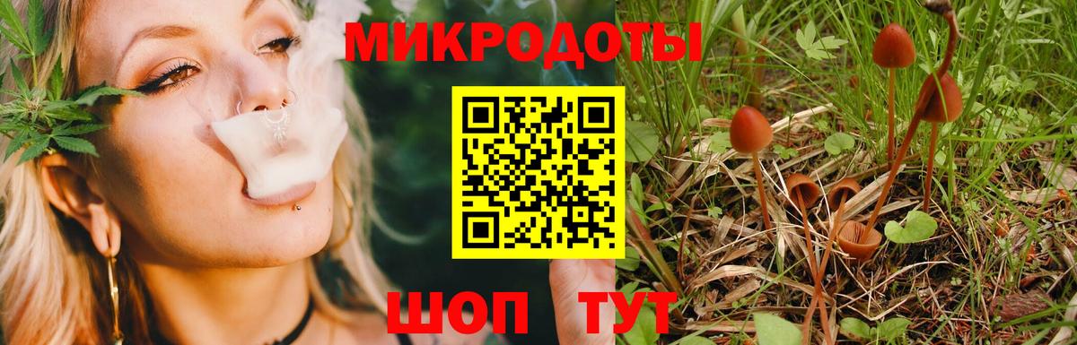 Галлюциногенные грибы Cubensis Евпатория